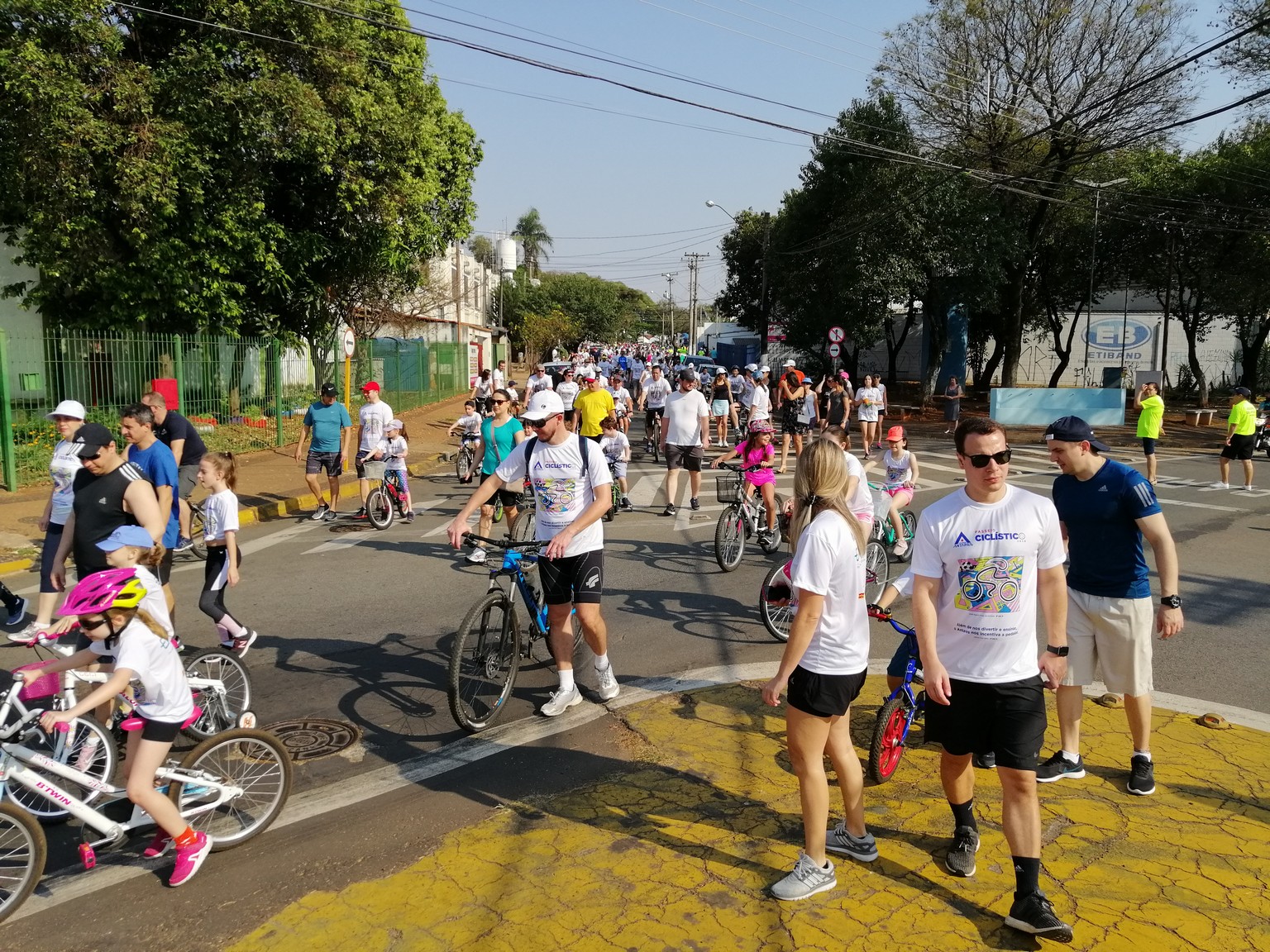 15687438134